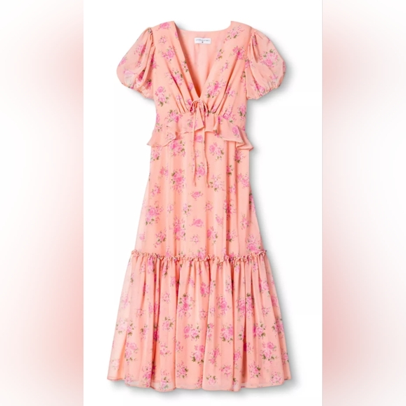 LoveShackFancy Dresses & Skirts - LoveShackFancy x Target Womens Cottagecore Pink Fleur Dress Size 10